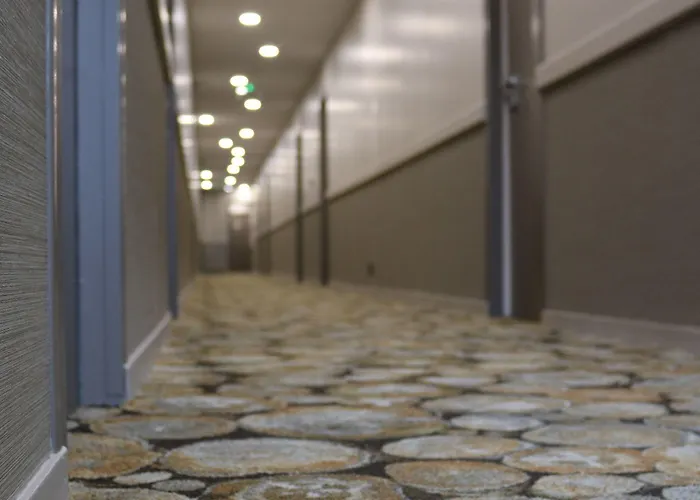 Le Saint Aubert Mont-Saint-Michel